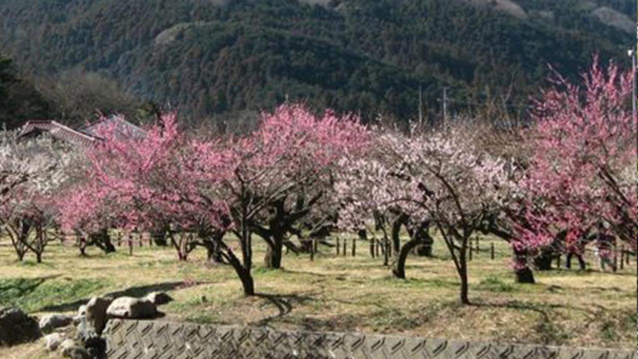 Kyukamura Oku-Musashi Hanno Exterior photo